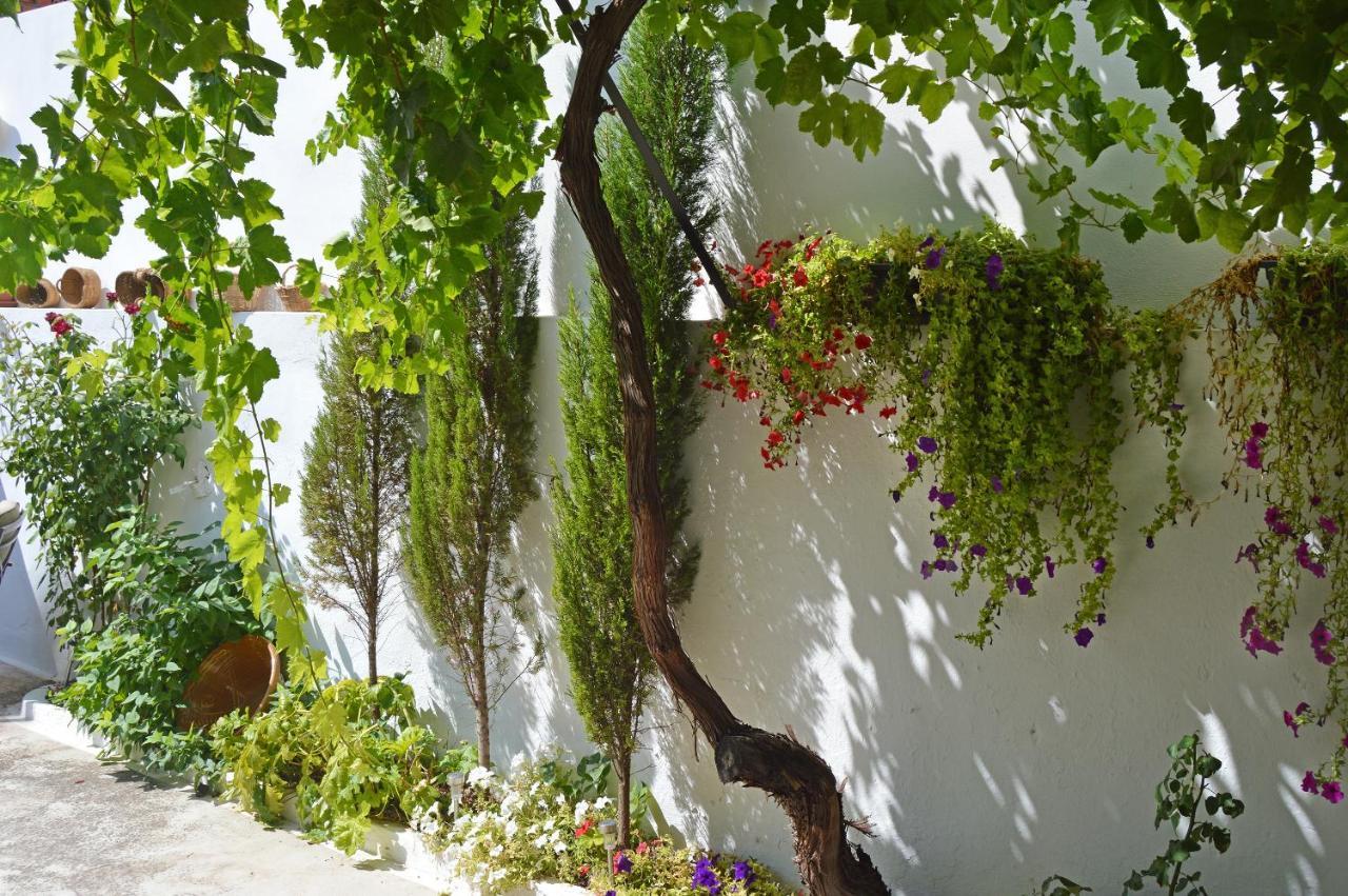La Vieja Parra Guest House La Puerta de Segura Bagian luar foto