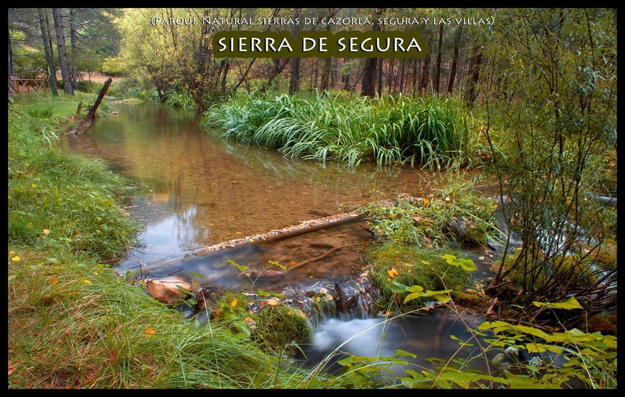 La Vieja Parra Guest House La Puerta de Segura Bagian luar foto